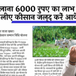 Ineligible Farmers List: सालाना 6000 रुपए का लाभ लेने के लिए किसान जल्द करें आवेदन