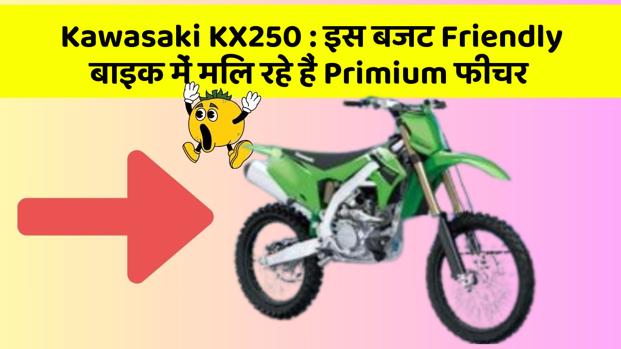 Kawasaki KX250 : इस बजट Friendly बाइक में मिल रहे हैं Primium फीचर